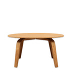 Eric Coffee Table