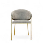 Paltz Dining Chair
