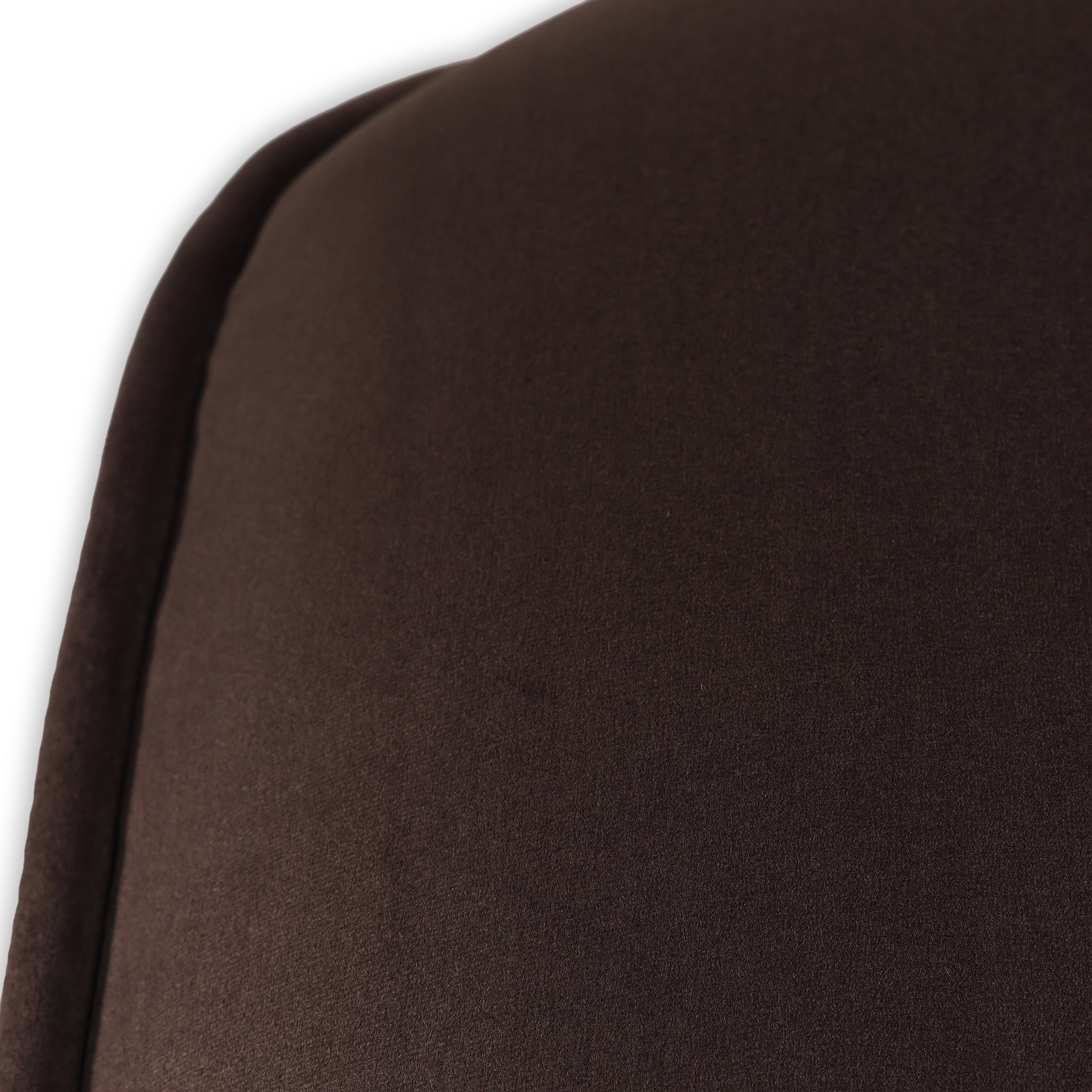 Echo Lounge Chair