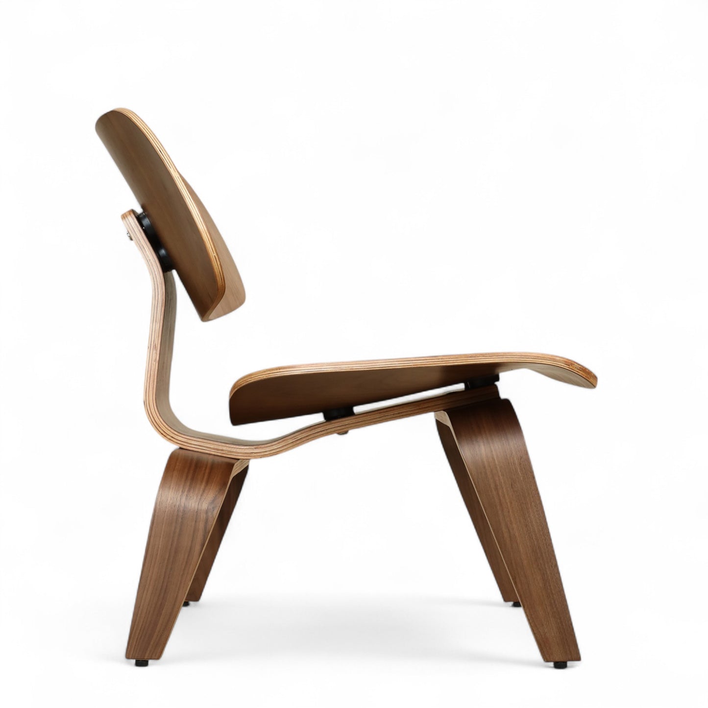 Zenith Lounge Chair