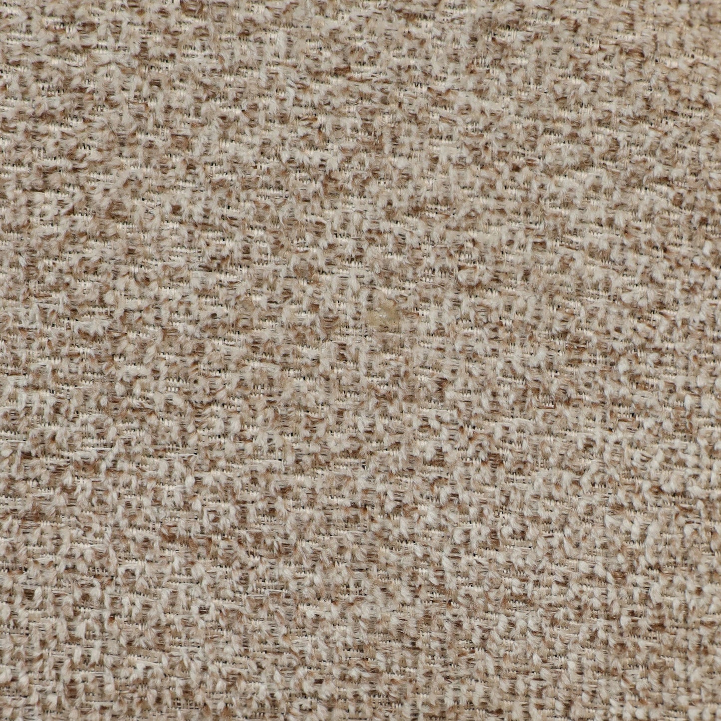 '-Vega Dining Chair-Bloomr