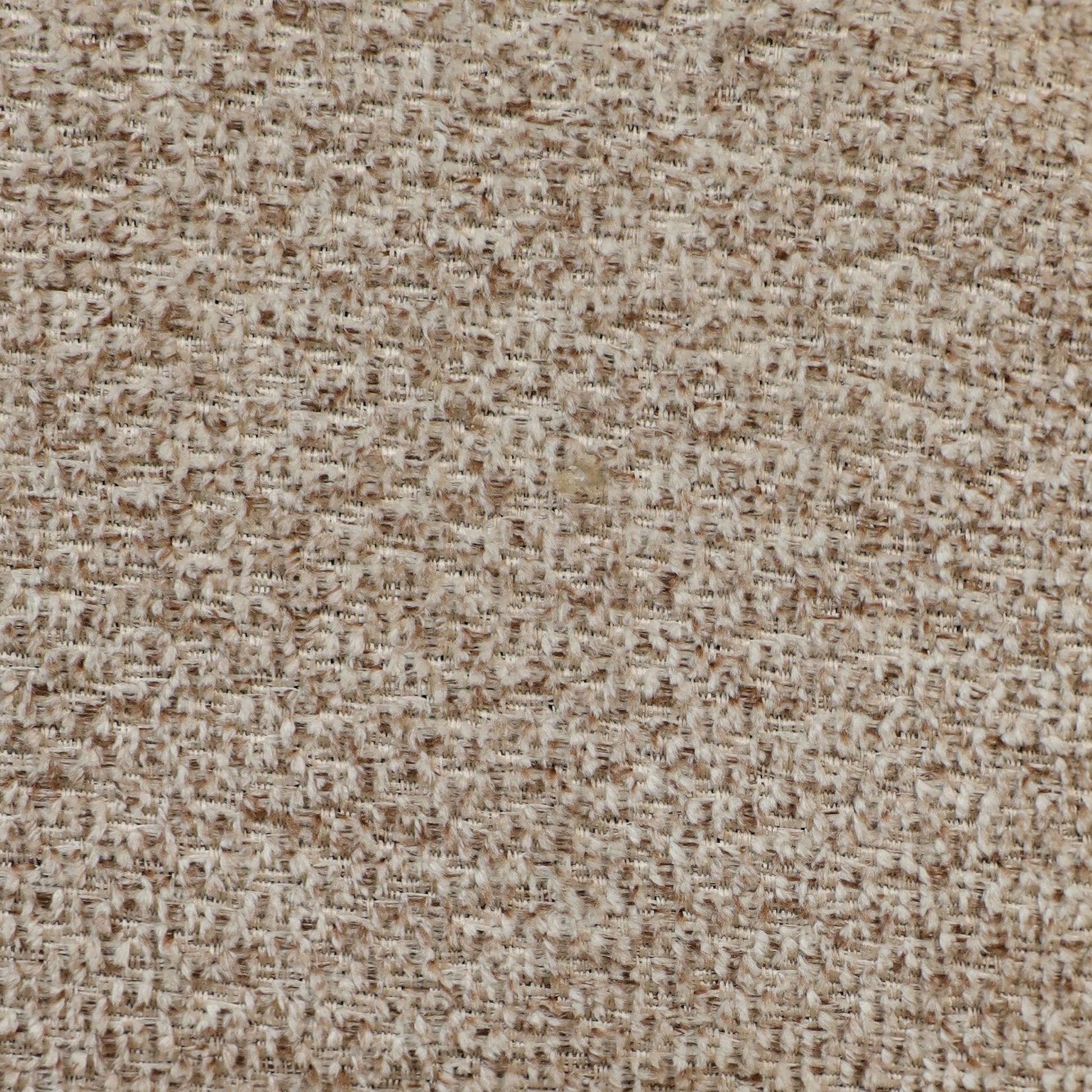 '-Vega Dining Chair-Bloomr